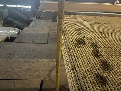 16ft Modular Belt Conveyor with Air Knife