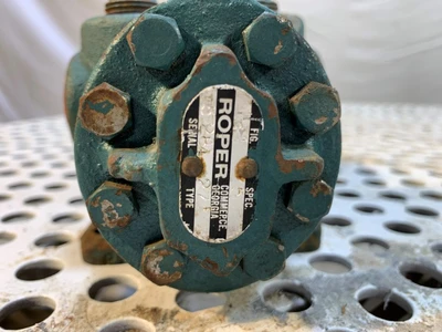 Roper Type 27 1x1 DI Positive Displacement Pump
