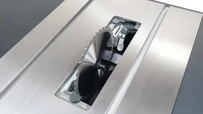 NEW LAGUNA F1