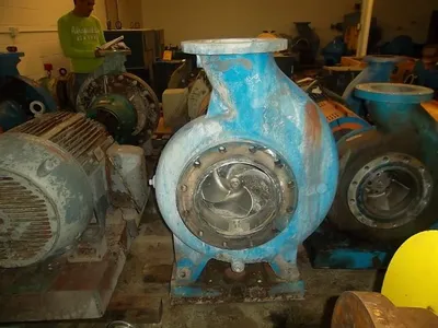 USED Goulds 3175