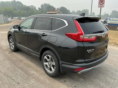 Used 2019 HONDA CR-V SUVs Michigan US | Miedema Asset Management Group #1313949