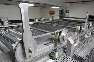 Roll Sizer W/Infeed Belt Conveyor