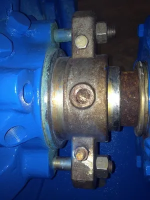 USED Goulds 3175