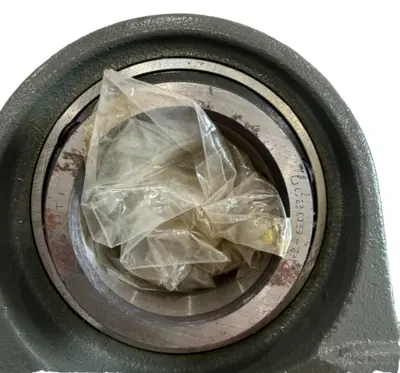 NEW P.T. INTERNATIONAL S000325-21 PILLOW BLOCK BEARING TWO-BOLT MOUNTED UNIT