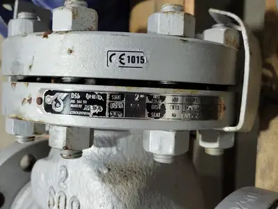 USED DSI VALVES 165 XU