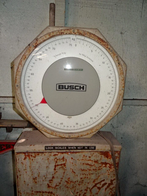 75Kg Busch Scale Type 2001