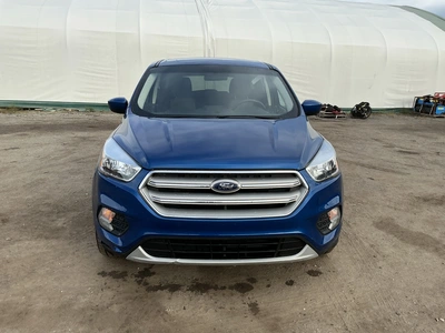 Used 2019 FORD ESCAPE SUVs Michigan US | Miedema Asset Management Group #1468617