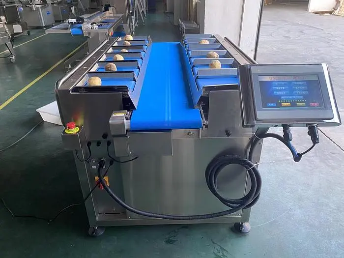 New | in-Stock 2025 HONGDA HA-PDC12 Linear Packaging  Scales Ontario CA | Hongda America Corp #1207725