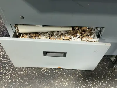 Used AMERISHRED CORP AMS500 Paper Shredders Ohio US | HGR 24 #1502534