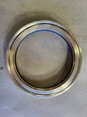 NEW AESSEAL L1I271PP-001-I33
