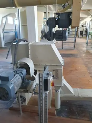 Oatmeal processing plant 1 t/h