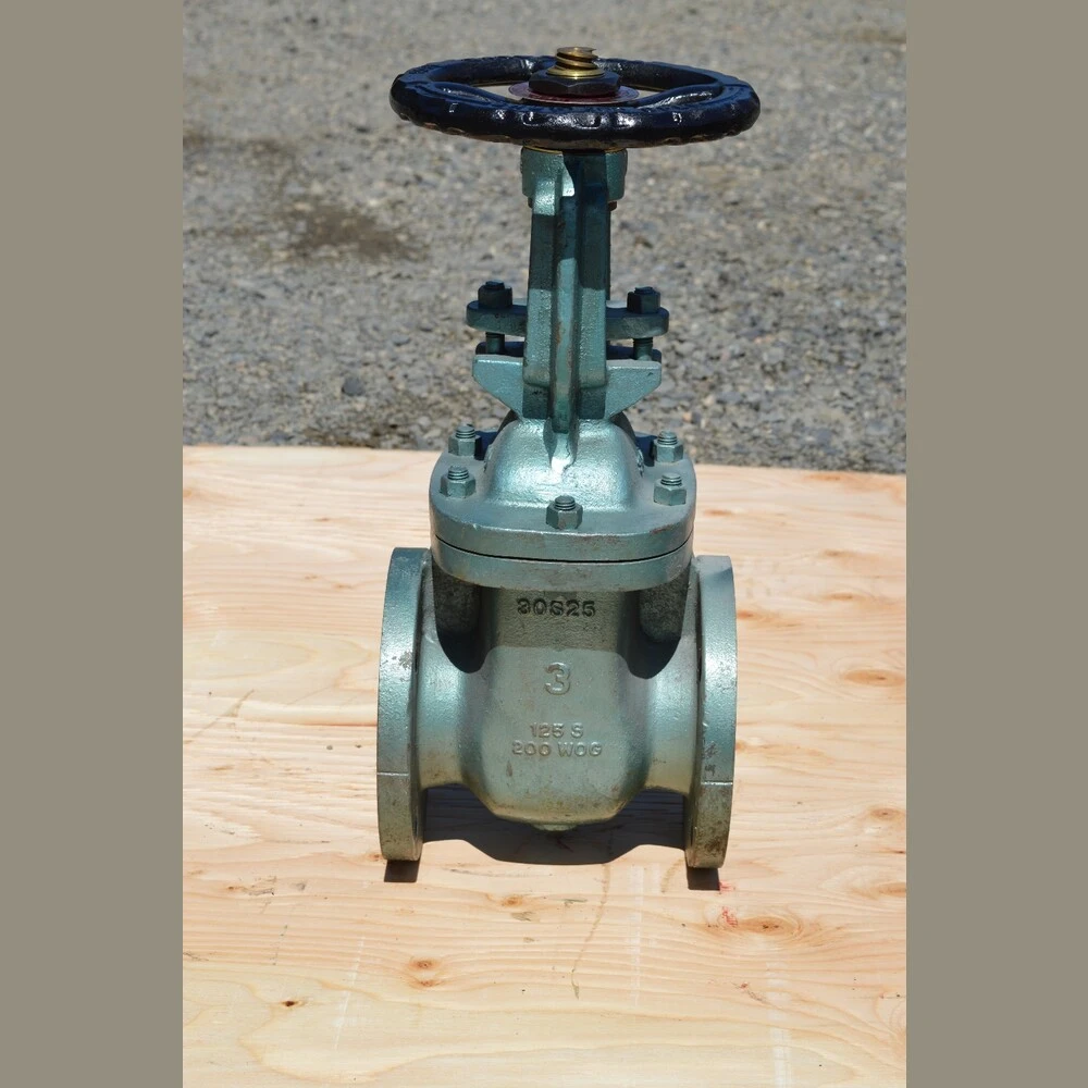Red White 3 in. Gate Valves