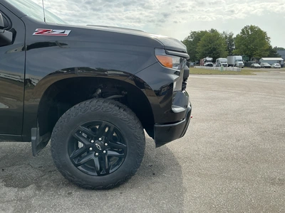 Used 2024 CHEVROLET SILVERADO 1500 Pickup Trucks Michigan US | Miedema Asset Management Group #1324122