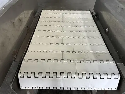 22" Conveyor