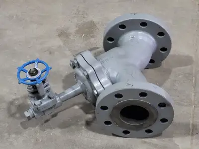 3" Fig 34 Y-Type Strainer w/ 3/4" Class 800 Gate Valve C-2054B-02TY