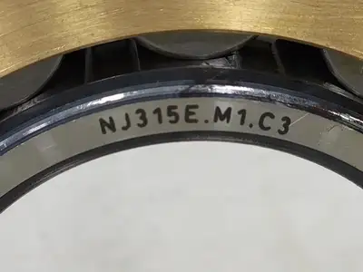 NEW FAG NU315E.M1.C3