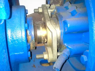 USED Goulds 3175