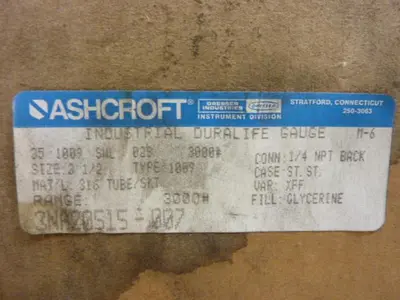 NEW ASHCROFT 351009 SWL 02B 3000#