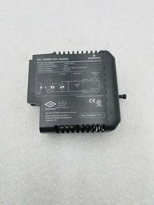 EMERSON DELTAV KJ3001X1-BH1 120/230VAC NSNP #K-2519