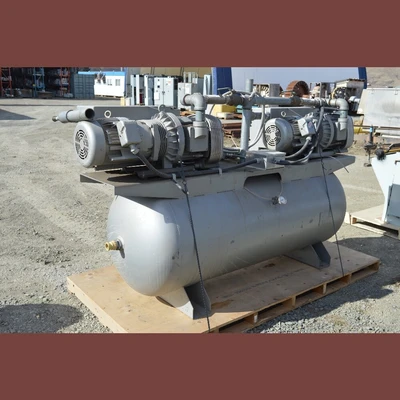 Rietschle Dual Vacuum Pumps