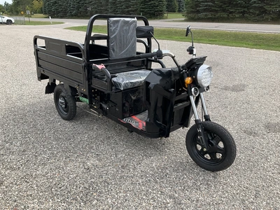Used 2026 SDLANCH ET13 Utility Vehicles Michigan US | Miedema Asset Management Group #1423731