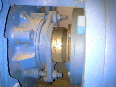 USED Goulds 3175