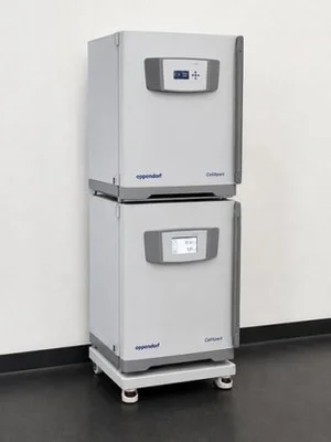 Used EPPENDORF CELLXPERT CO2 Incubators New Jersey US | Bionex Scientific LLC #799919