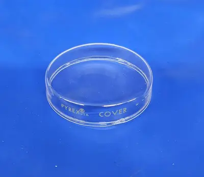 PYREX 40ML BEAKER, 100ML BEAKER, NO. 3140 CRYSTALLIZING DISH, & PETRI DISH COVER