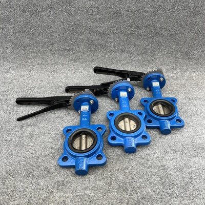 New | in-Stock WHEATLEY BFV-025L Pump & Valve Parts California US | Davliegogo LLC #1706931