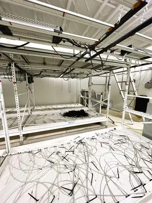 (3) Two Story Rolling Flood Grow Tables by Innovative Growers Equipment