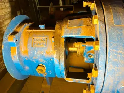 USED GOULD 3196