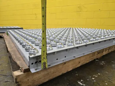 Used HYTROL ROLLER BALL TRANSFER  CONVEYOR Roller Conveyors Wisconsin US | Packer City Sales #1298025