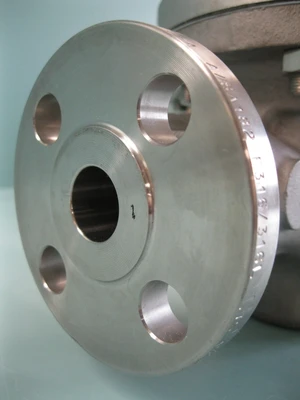 NEW Cashco D55AXX7-4CX55237E