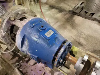 USED GOULDS 3175S