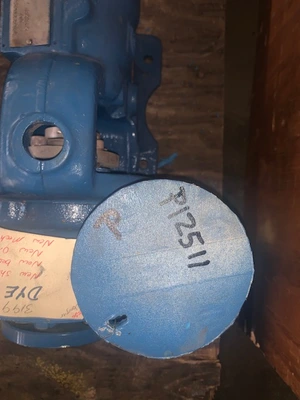 USED Goulds 3199