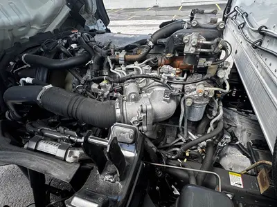 Used 2019 ISUZU NQR Reefer Trucks Florida US | Truck and Van Outlet #1509194