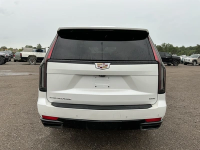 Used 2021 CADILLAC ESCALADE SUVs Michigan US | Miedema Asset Management Group #1320386