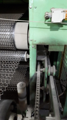Fezer Wood Veneer Screen Dryer, Infeed and Outfeed
