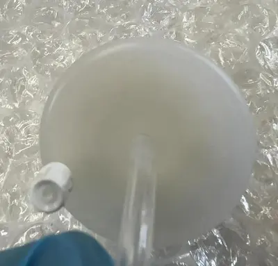 BD BIOSCIENCES FILTER FLOW