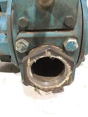 Blackmer GX2B Positive Displacement Rotary Sliding Vane Pump