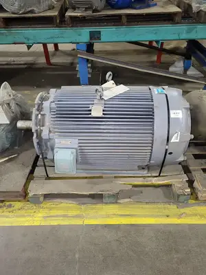 250 hp, 2300 volts, 1779 rpm, 449TD Electric Motor