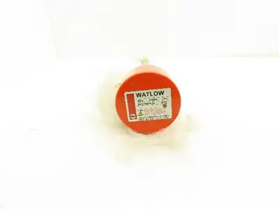 Watlow BCC16N1024 Screw Plug Immersion Heater 2250W 208V 1PH 1"NPT 16.75"Element
