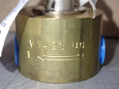NEW DAYTON (1) 2CZZ9