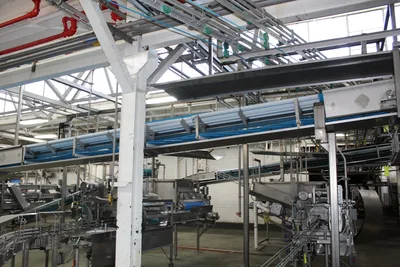 Filler Hopper Incline Conveyor Feed 1