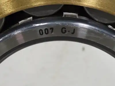 NEW FAG NU315E.M1.C3