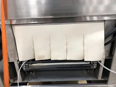 USED TRULINE PACKAGING INC PP5600CS