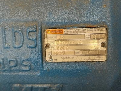 USED Goulds CV3196