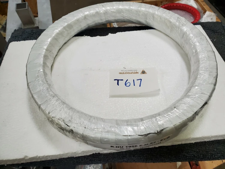 New | in-Stock KRW NU1956E E.M.S2-EVO Bearings Arizona US | ASSET CONVERSION SPECIALISTS, INC. #320891