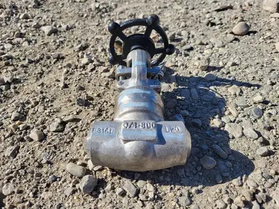 3/4" Class 800 Globe Valve API 602