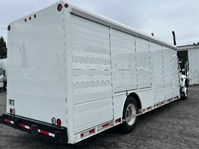 Used 2020 IHC MV607 Box trucks South Carolina US | Buck's Trucks #1523982